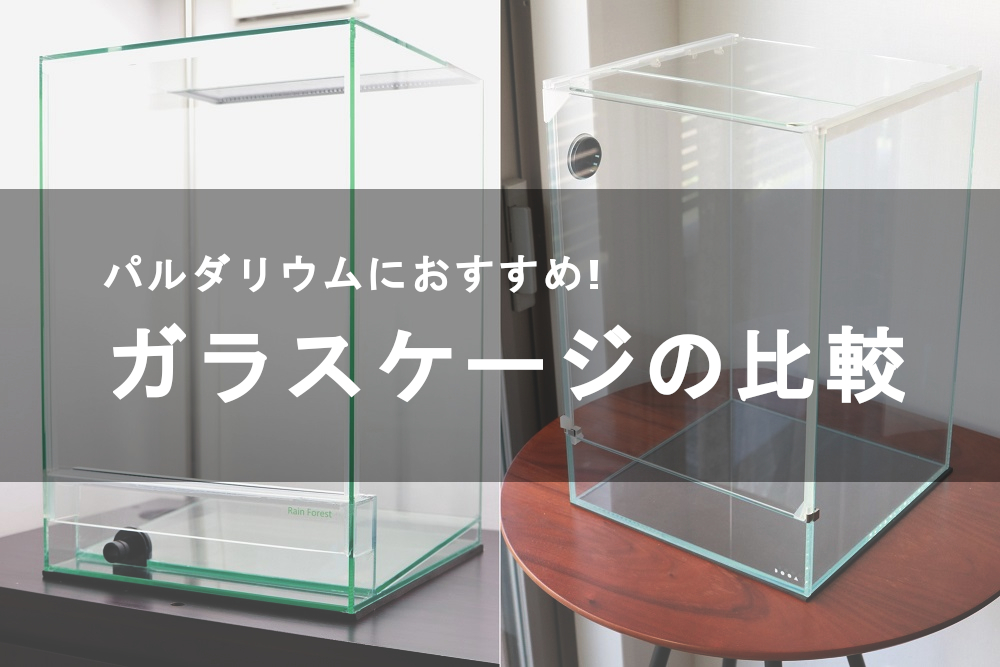 パルダリウムにおすすめなガラスケージの使い勝手を比較 | 植物ノート