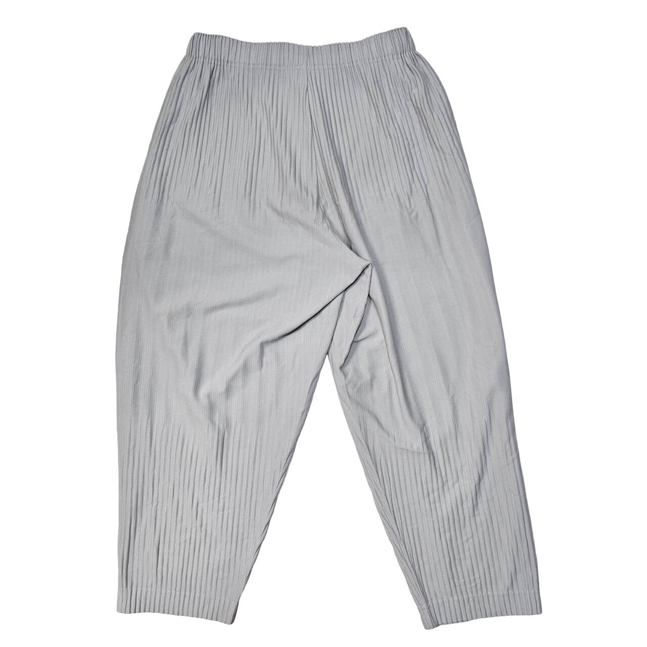 HOMME PLISSE ISSEY MIYAKE(オムプリッセイッセイミヤケ) BASICS matte