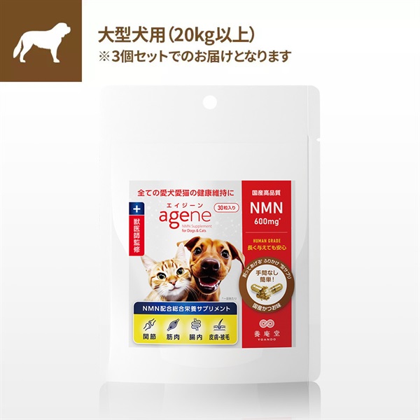 商品詳細ページ