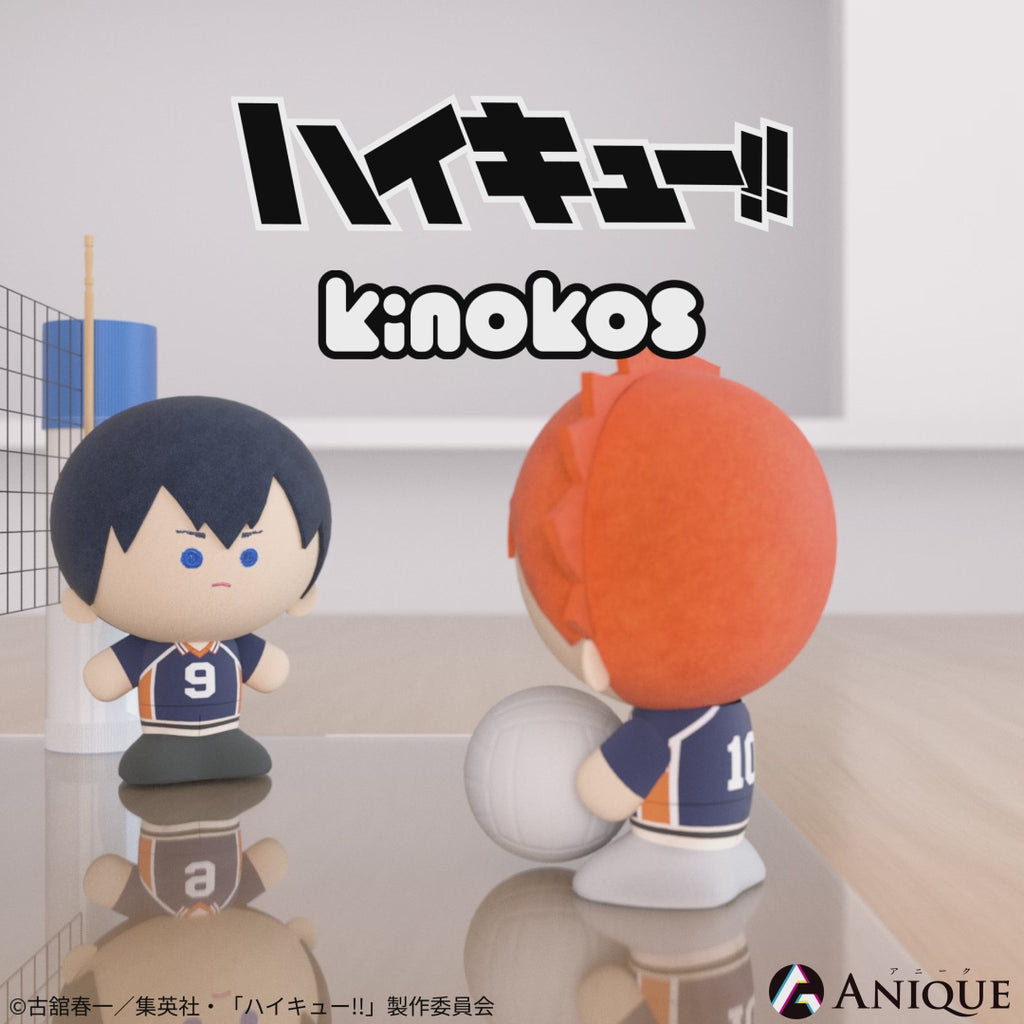 Anique Shop JAPAN