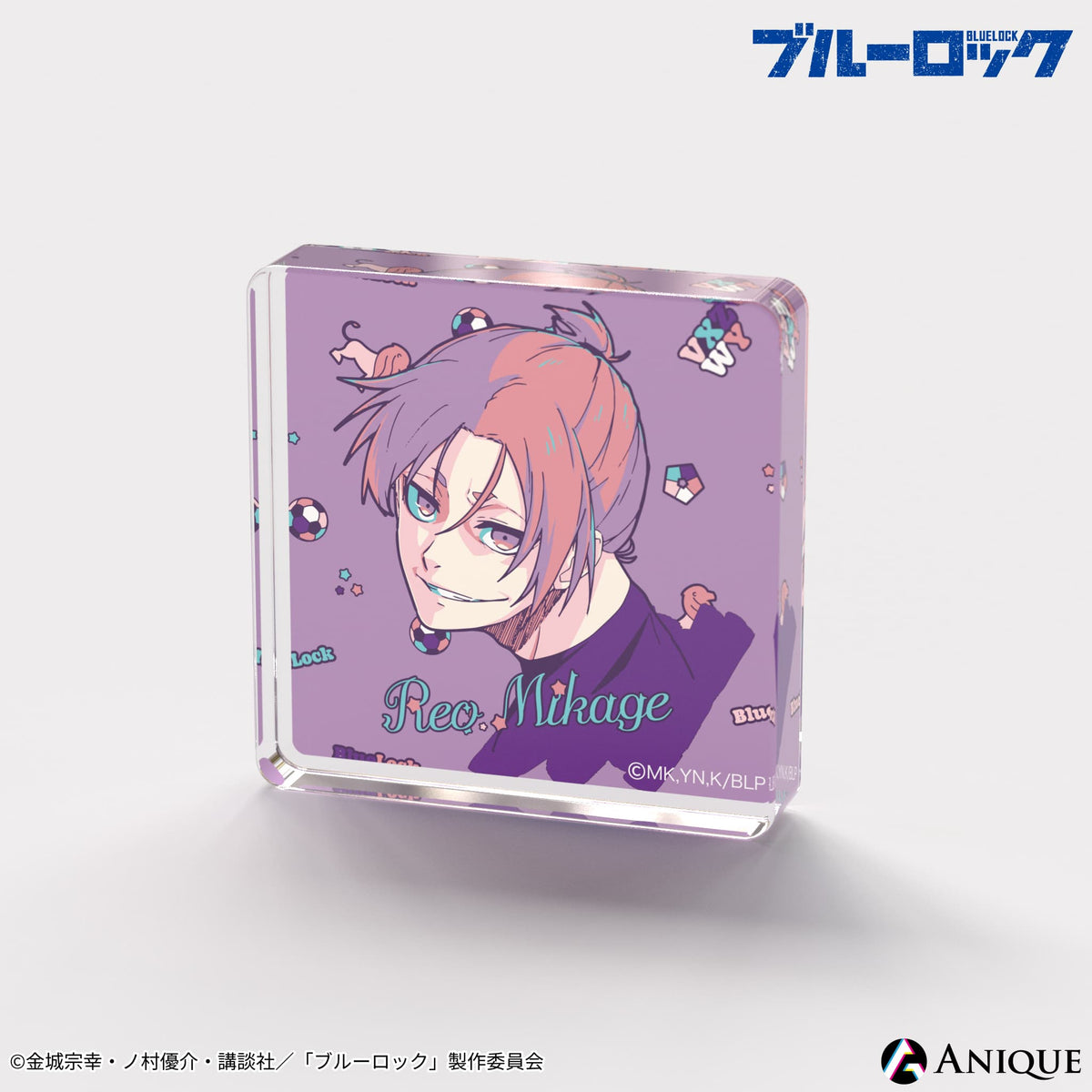 Anique Shop JAPAN