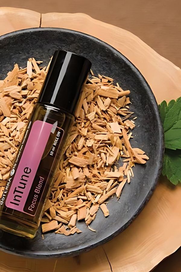 doTERRA InTune Focus Blend Roll-on | dōTERRA Essential Oils – Home
