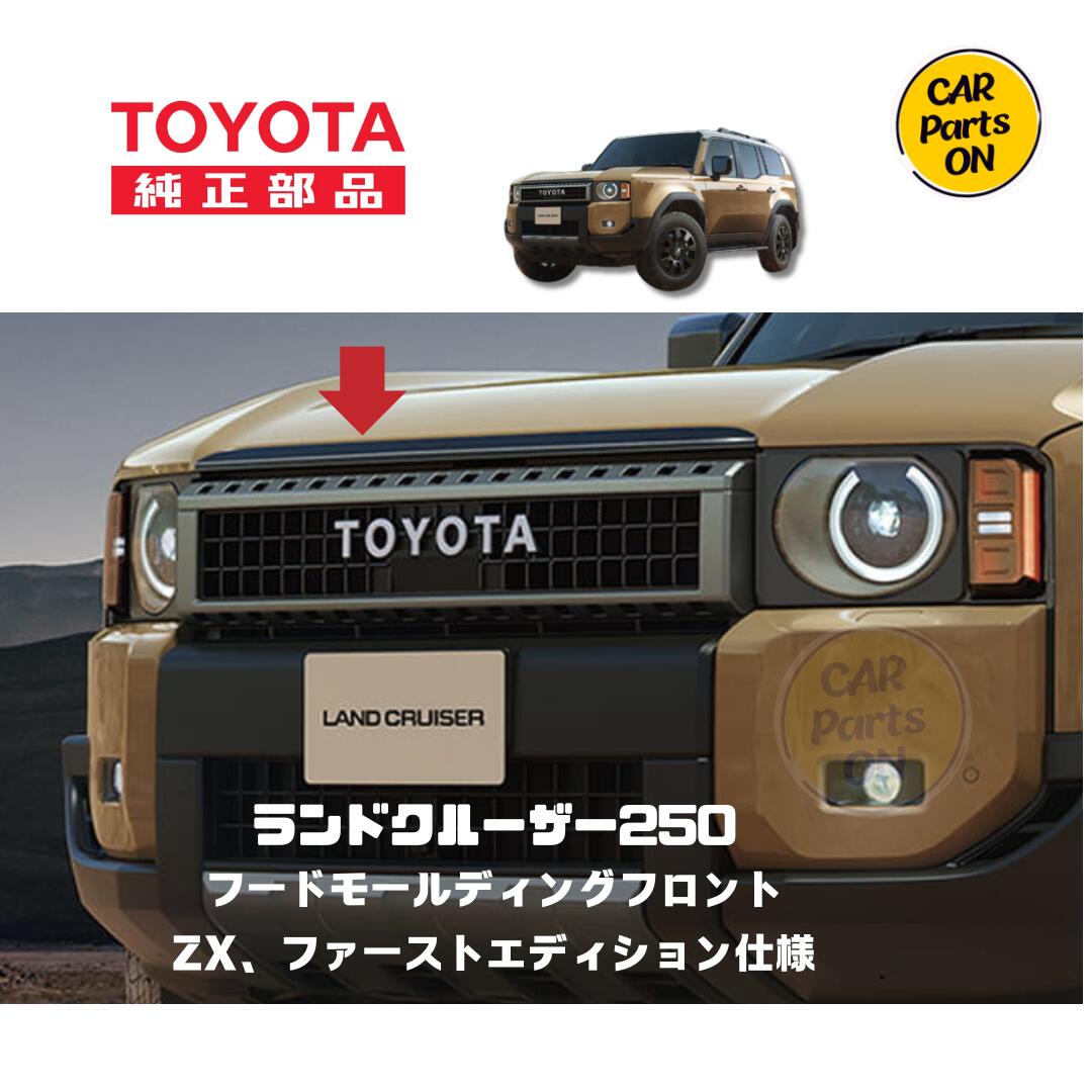 楽天市場】250 ランドクルーザー バックドアガーニッシュ ランクル250