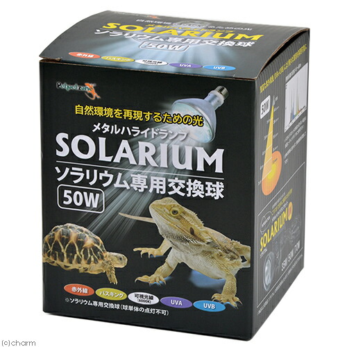 楽天市場】ゼンスイ ソーラーラプター HIDランプ 50W 交換球