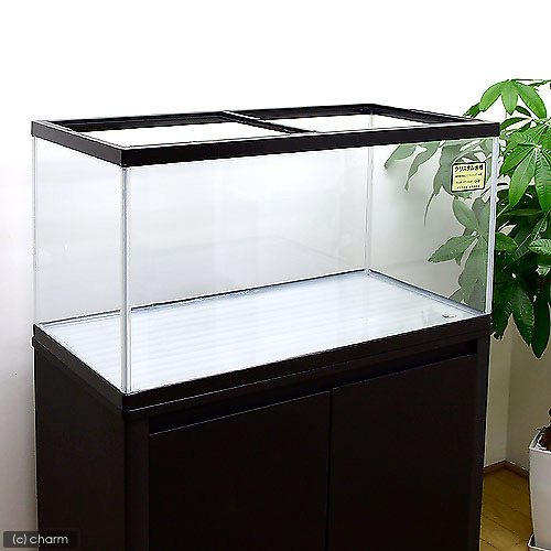 楽天市場】水槽台 GEX アクアラックスチール 900BK 90cm