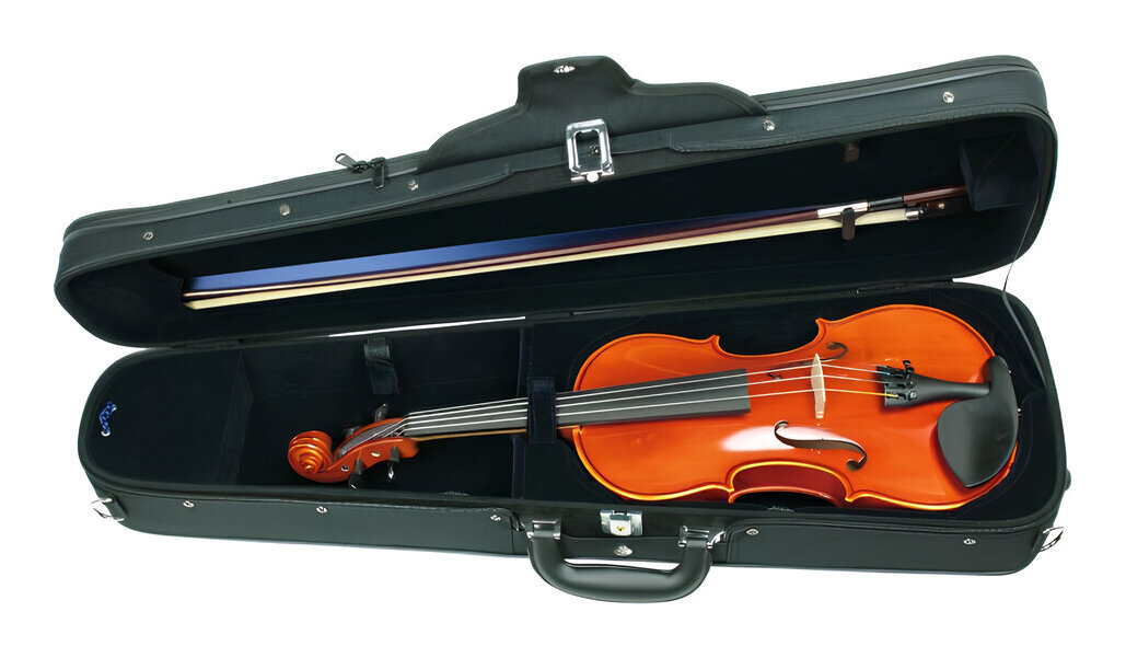 楽天市場】EASTMAN VL80セット 4/4サイズ バイオリンセット【送料無料