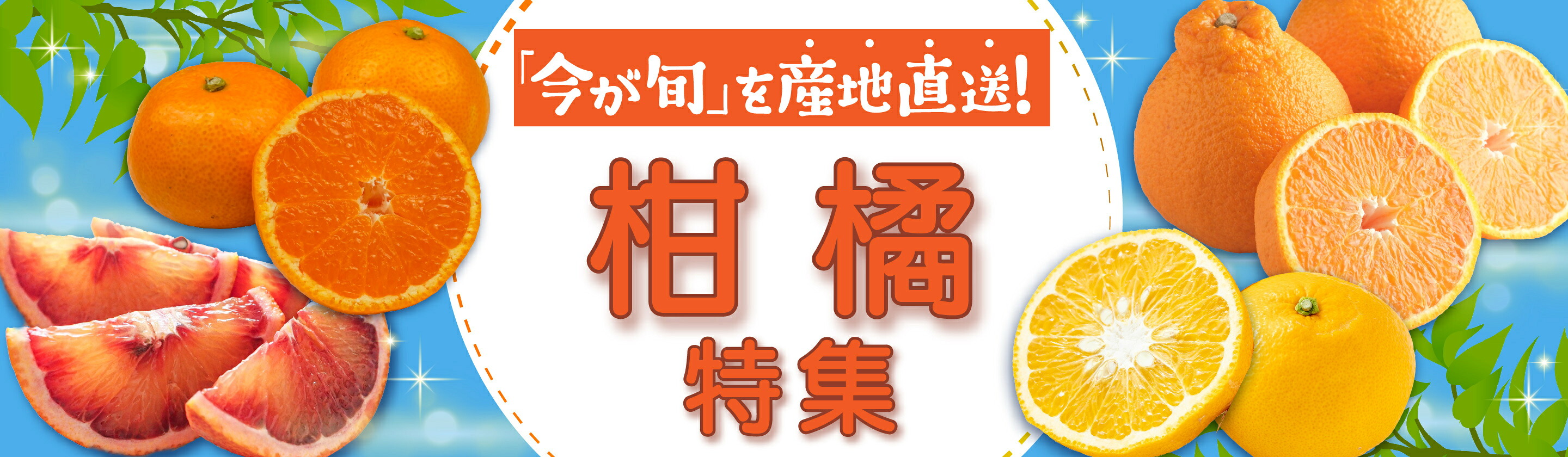 楽天市場】【ふるさと納税】 【発送時期が選べる】トイレットペーパー