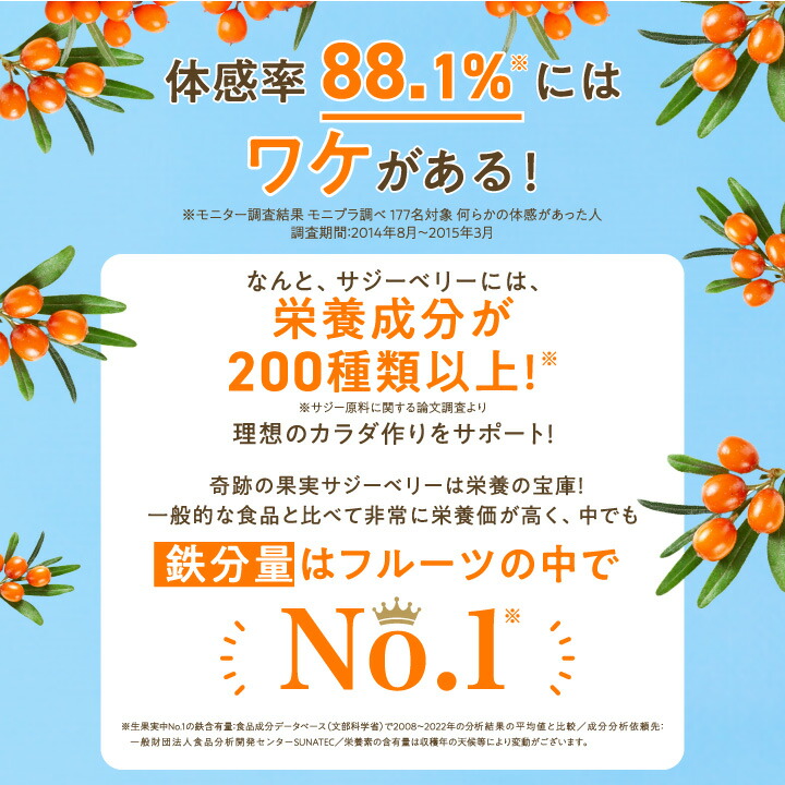 豊潤サジー 1000ml サジージュース【紙パックタイプ】 公式 フィネス