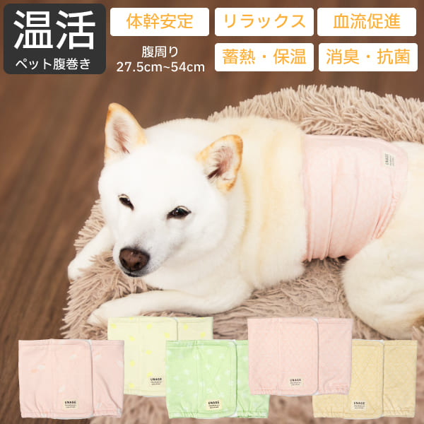楽天市場】らくらく温灸器 ペット 犬 肩こり : NANA-LIFE