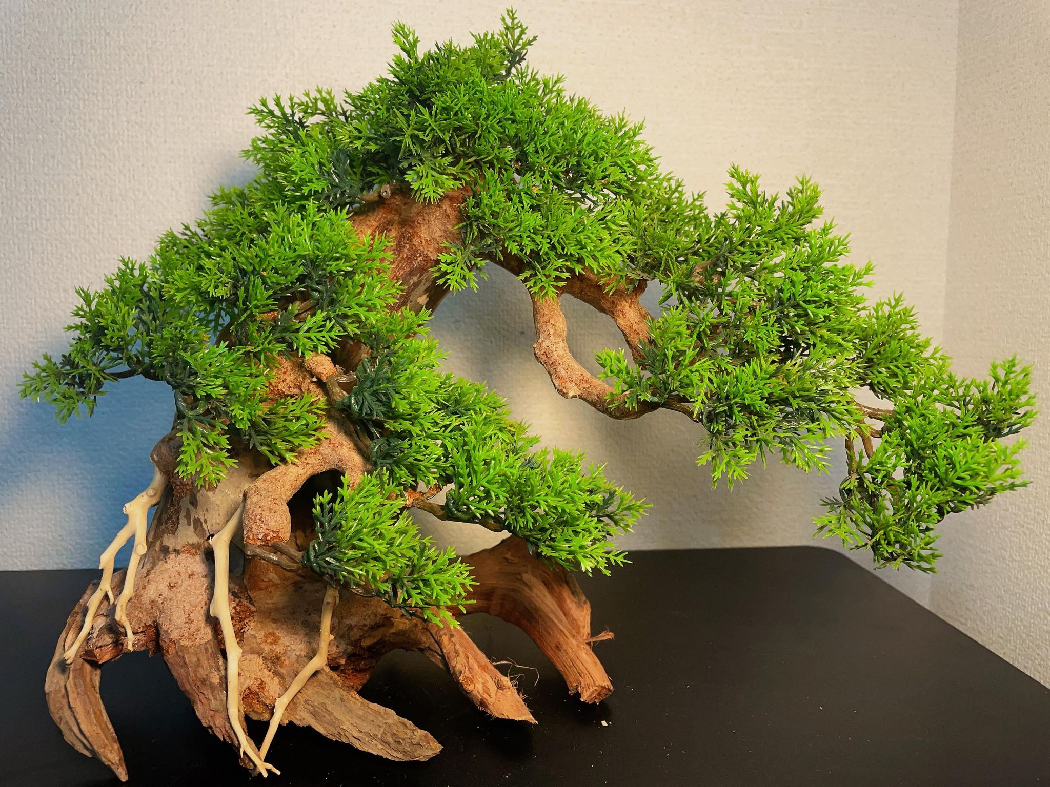 楽天市場】【送付無料・お買い得】樹脂水草付き蟠幹盆栽流木（水槽専用