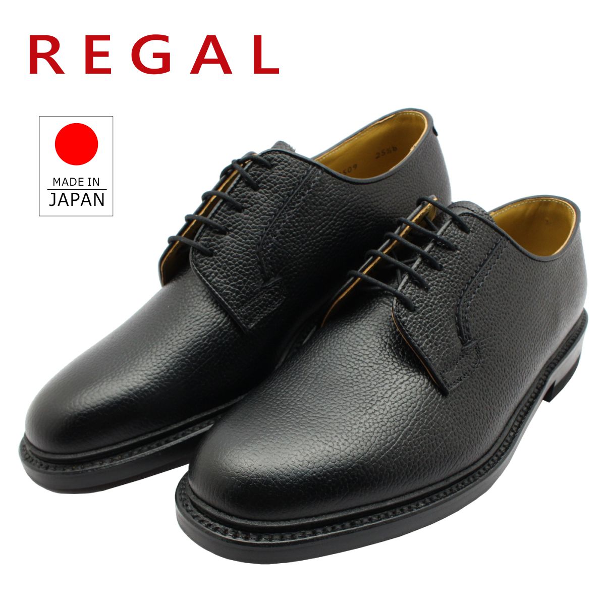 regal2509nbk1s.jpg