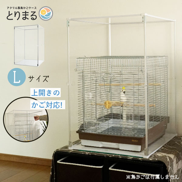 楽天市場】【1日限定☆全品☆5%OFFクーポン】 Lサイズ登場 アクリル