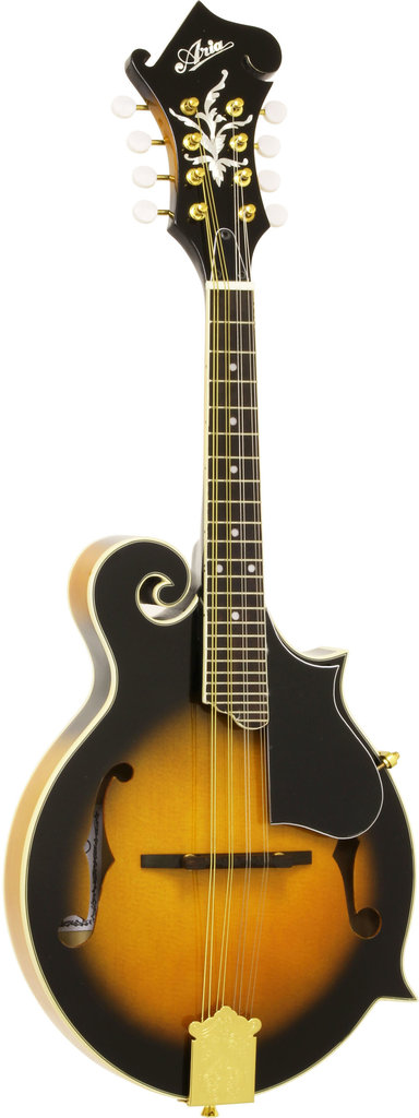 楽天市場】マンドリン ARIA アリア AM-20 初心者 10点セット フラット