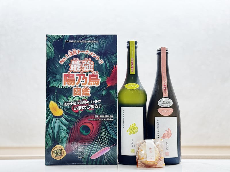 新政 頒布会第三弾 2025 陽乃小鳥 迦楼羅 新政 頒布会2025 陽乃小鳥 迦