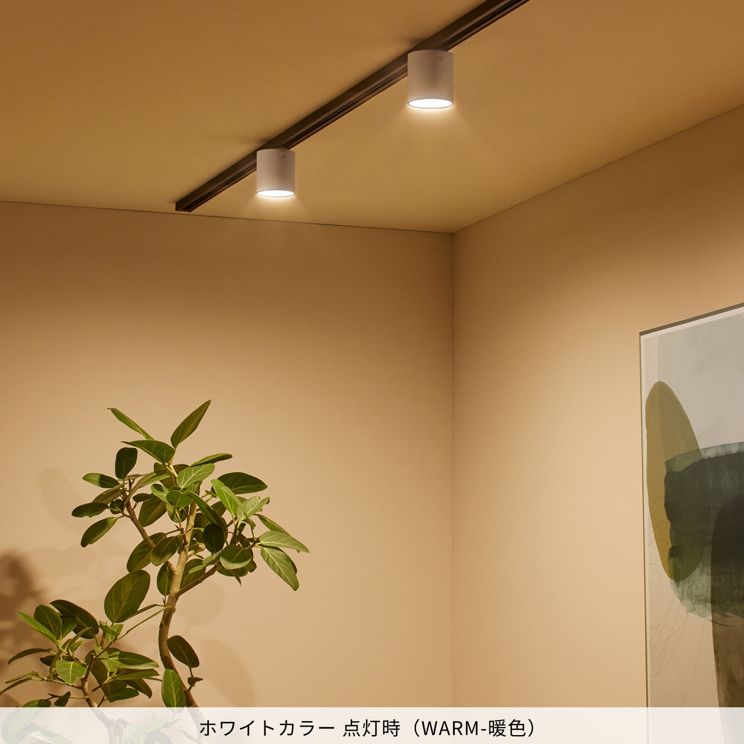 ARTWORKSTUDIO（アートワークスタジオ） シーリングライト スポット