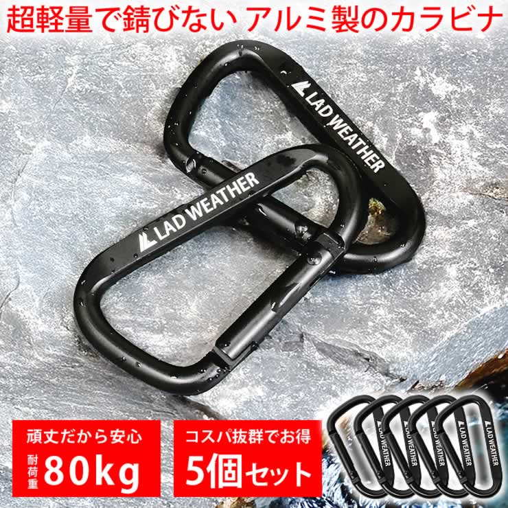 LAD WEATHER（ラドウェザー） カラビナ キーホルダー 5個セット 軽量で