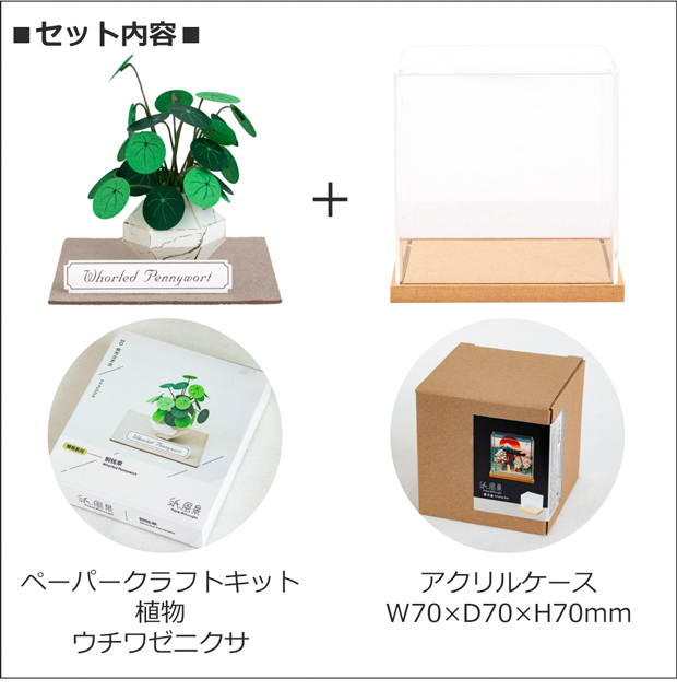 2/27-3/1はP10倍／ ペーパークラフトキット アクリルケース付き
