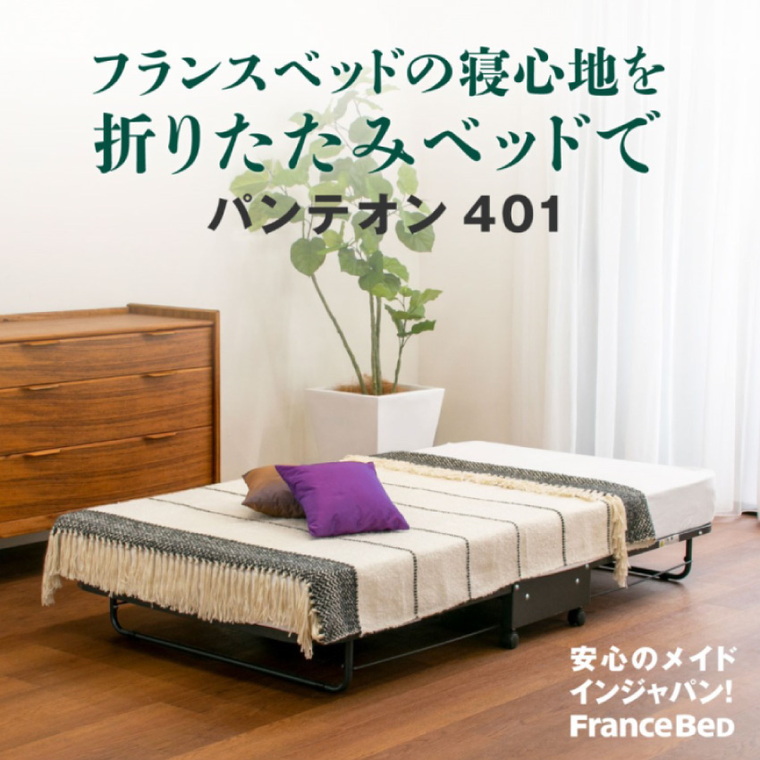 フランスベッド（FRANCEBED） 【PT+10%】フランスベッド 正規品