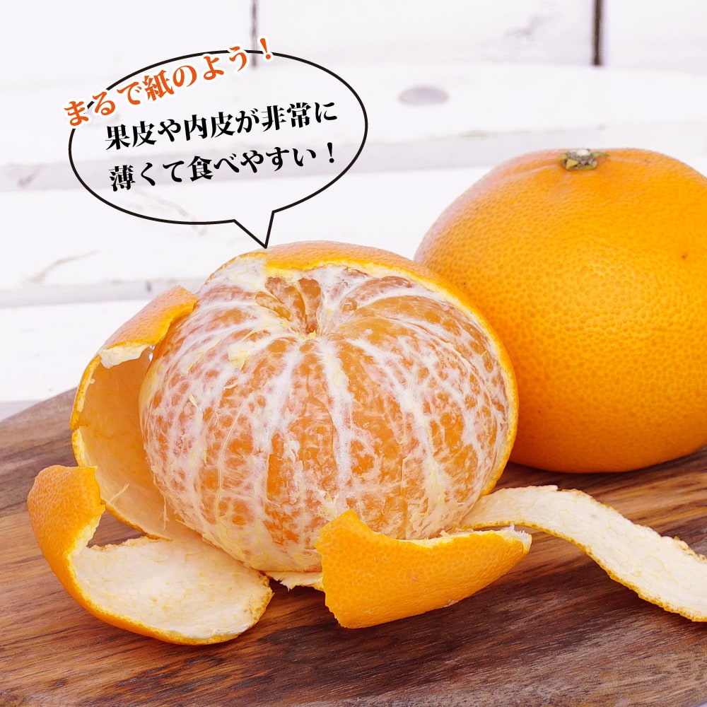 せとか みかん 1年生接木苗 登録品種・品種登録 : 苗木部 花ひろば