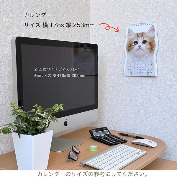 2026 カレンダー 壁掛け ACTIVE 猫です 26ACL-67 2026年1月始まり 令和
