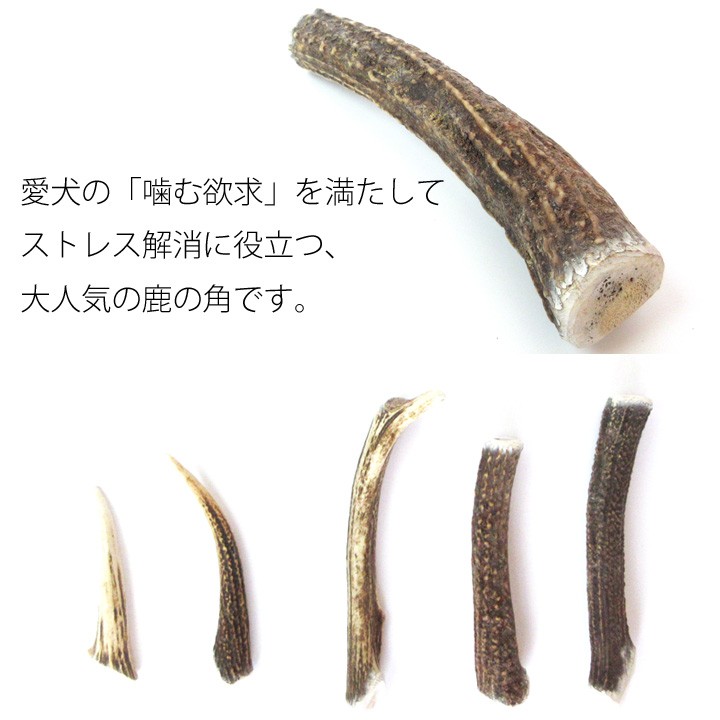 はっぴーDOG 2本セット 鹿犬 おもちゃ 鹿の角 Lサイズ 北海道 鹿角 犬