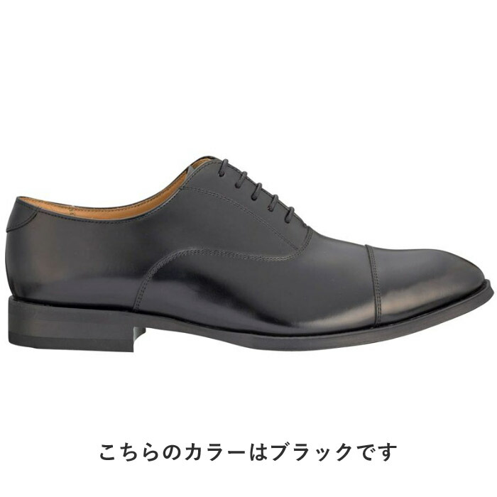 REGAL（リーガル） 公式 REGAL 811R ストレートチップ ダークブラウン