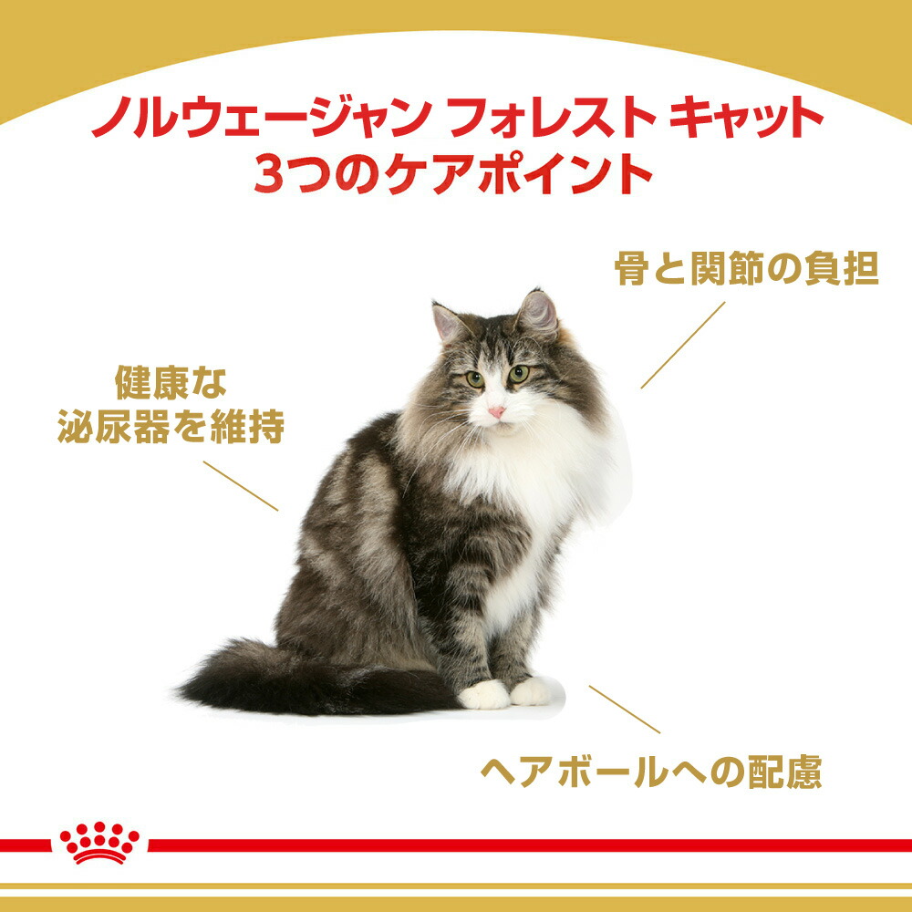 フィーライン ブリード ニュートリション 【2kg×3袋】ロイヤルカナン
