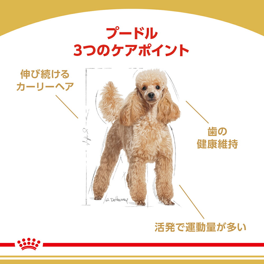 ブリード ヘルス ニュートリション ロイヤルカナン BHN プードル 成犬