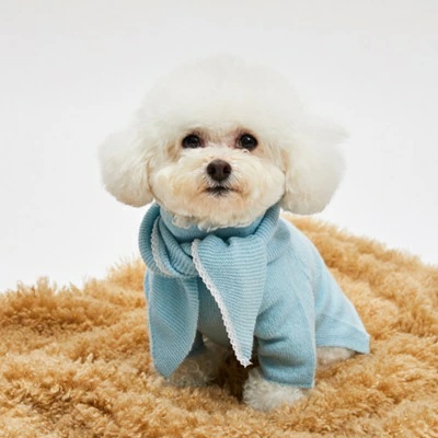 犬服・アクセサリー louisdog White Pearl Blouse 楽天市場】ルイス