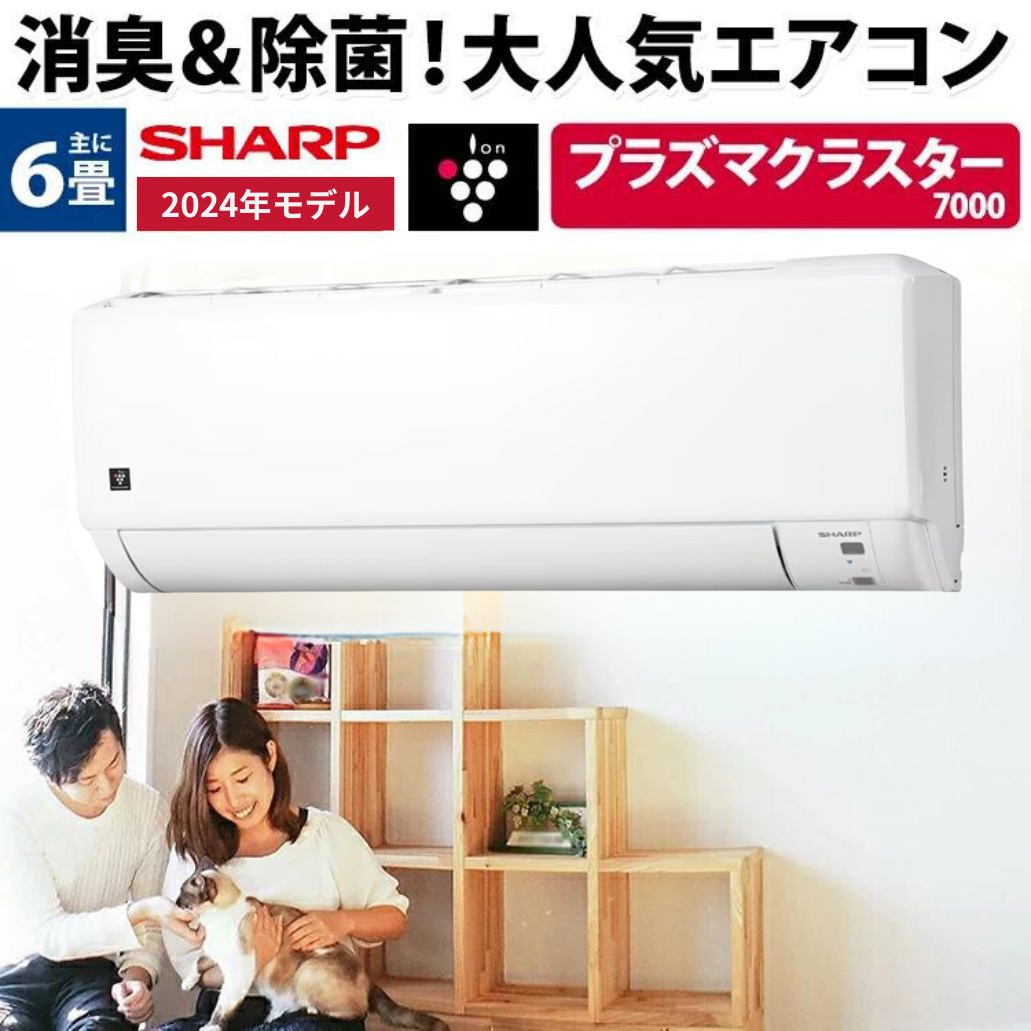 プラズマクラスター シャープ SHARP ルームエアコン おもに6畳用 AY