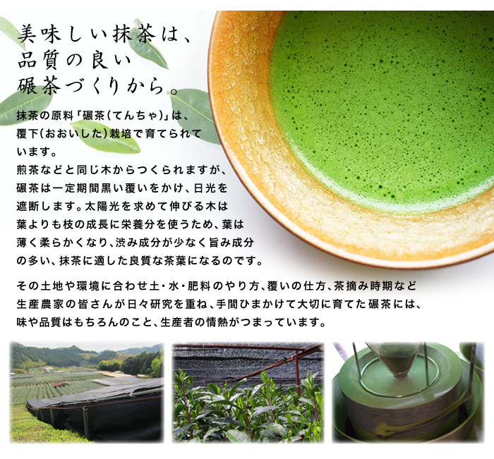 雅正庵 抹茶 薄茶 国産 抹茶 雫30g 缶入り 抹茶パウダー 濃茶 粉末