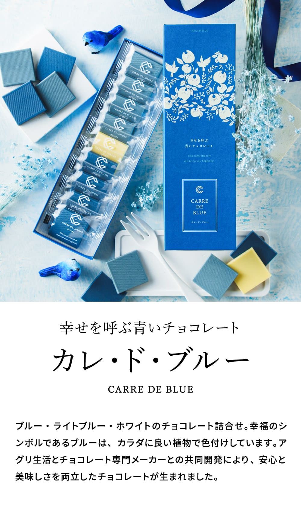 ホワイトデー お返し 2026 チョコレート CARRE DE BLUE（カレ・ド