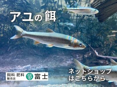 林兼産業ウナギ飼料の選び方｜成長段階別ラインナップと養殖プロの評価