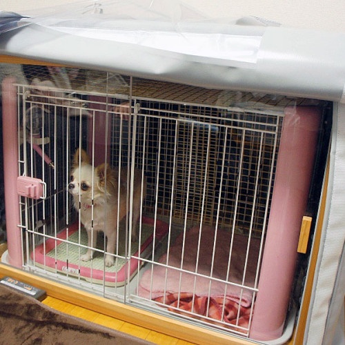 防音ケージカバー - 犬小屋製作工房Kの犬小屋ブログ