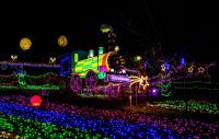 今年の冬もきかんしゃトーマス号に会える!！ 大井川鐵道 DAY OUT WITH