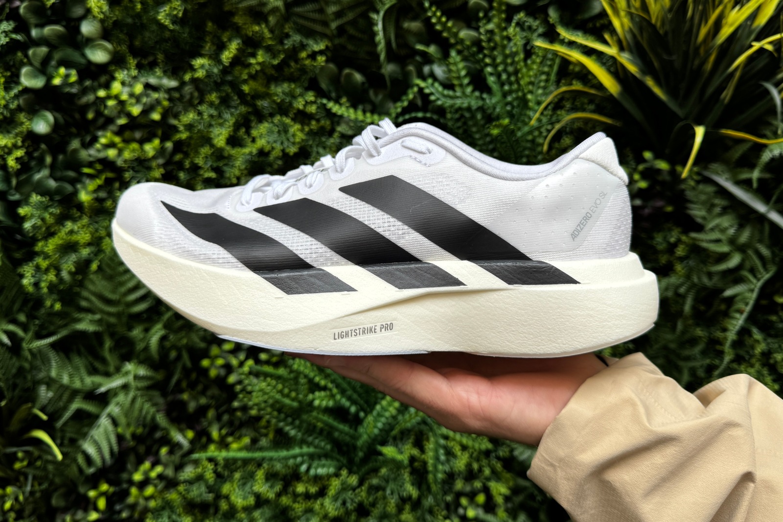 Adidas Adizero Evo SL: First Thoughts - Believe in the Run