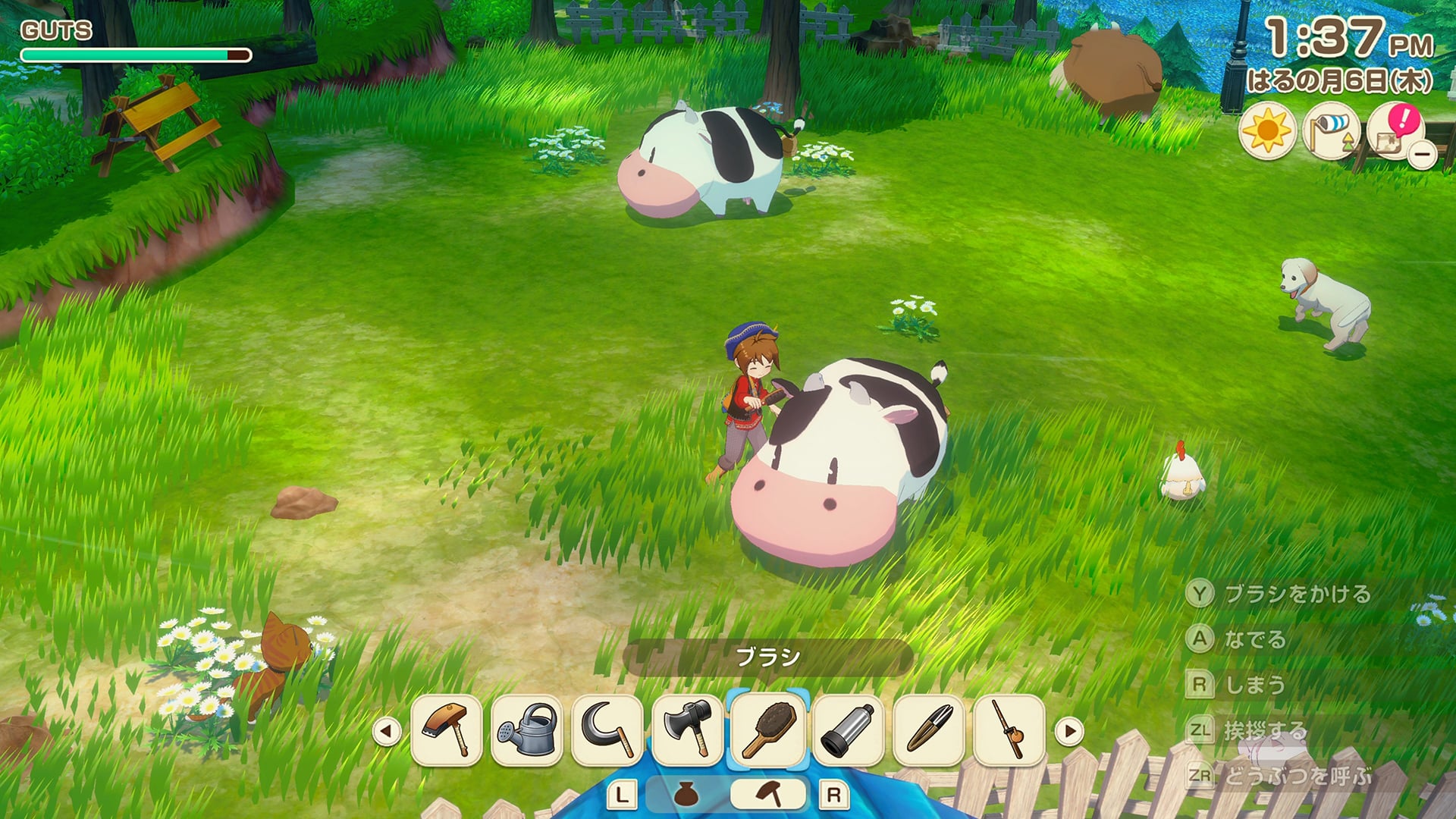 牧場物語 Let's！風のグランドバザール Nintendo Switch 2 Edition