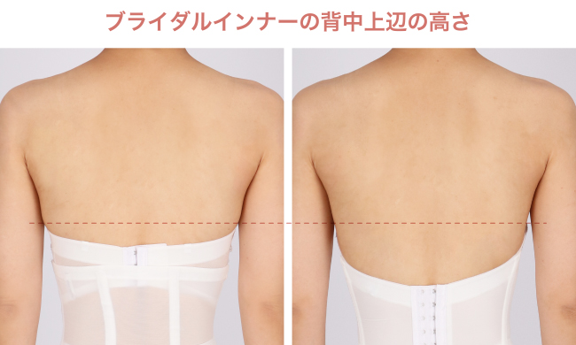 ドレスに合わせて選ぶ｜ウエディングドレスのタイプ別の下着｜ワコール
