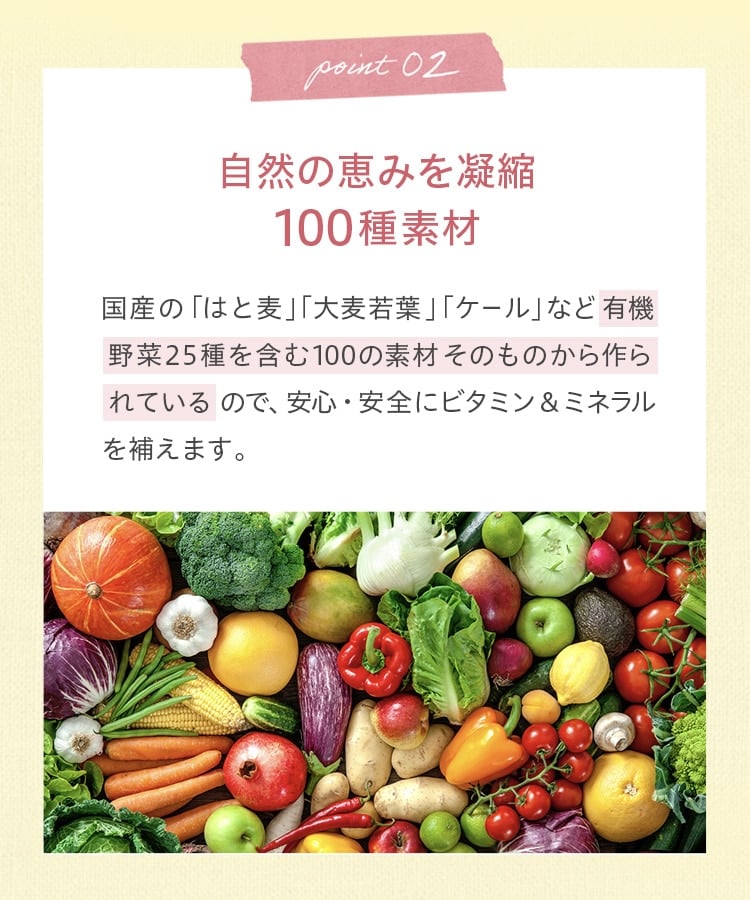 定期購入】Yoganic Life ヨギーニフード100 フルーツミックス(1袋44g