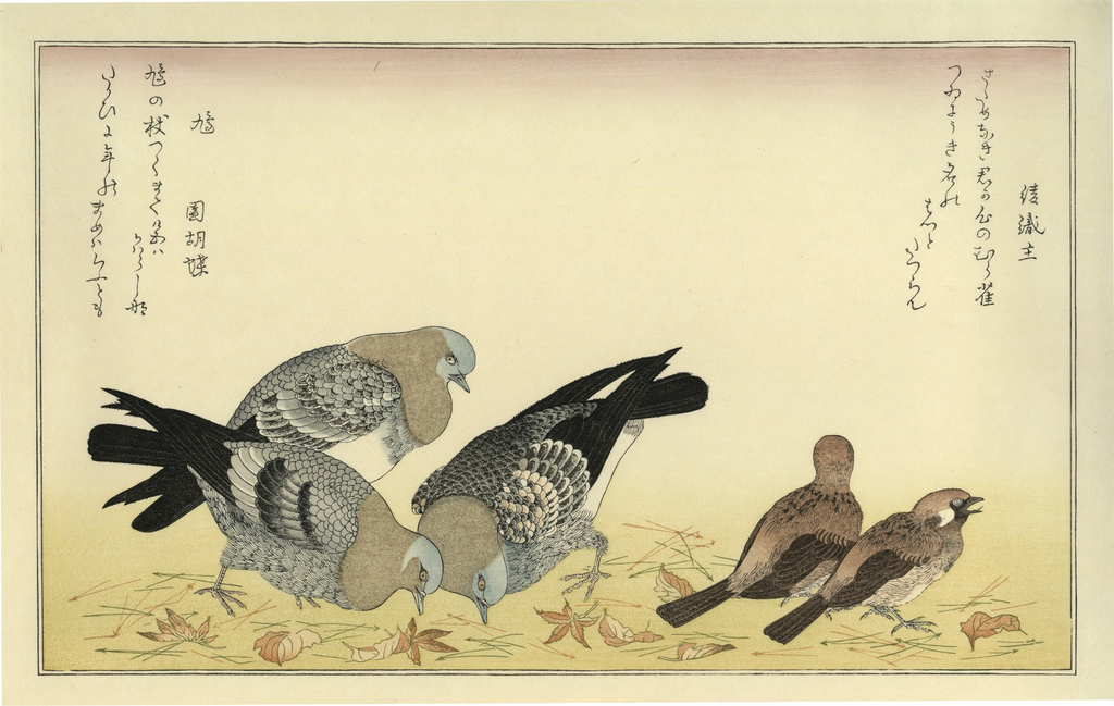 uk_utamaro102_main.webp?v=