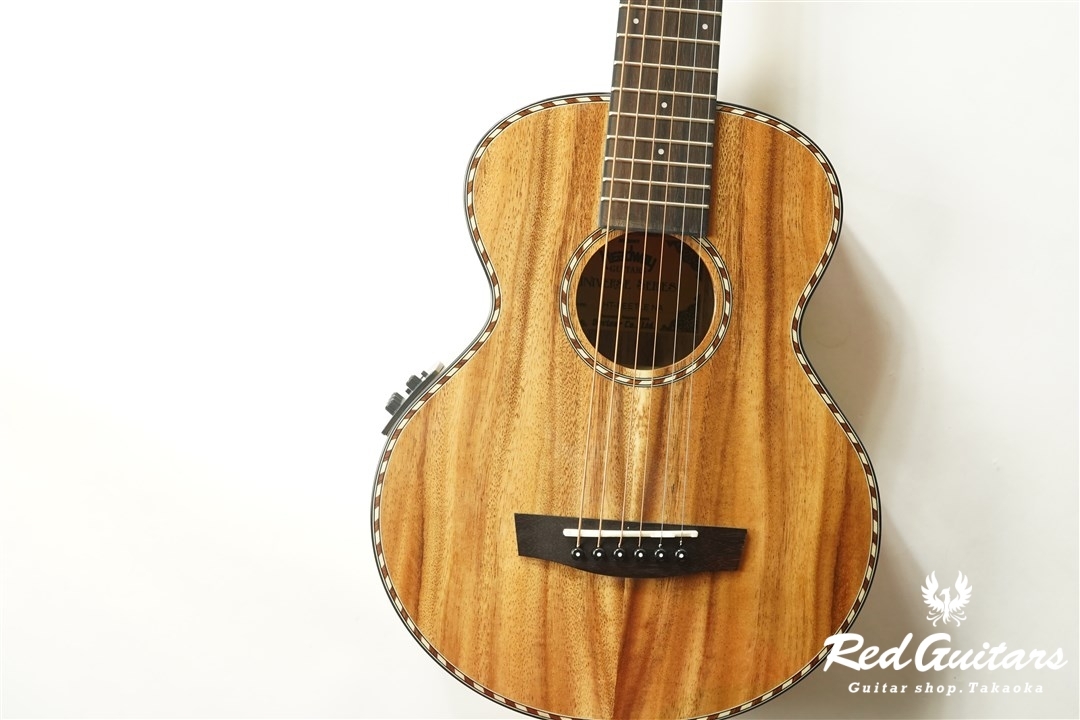 HEADWAY HT-BEETLE | Red Guitars Online Store