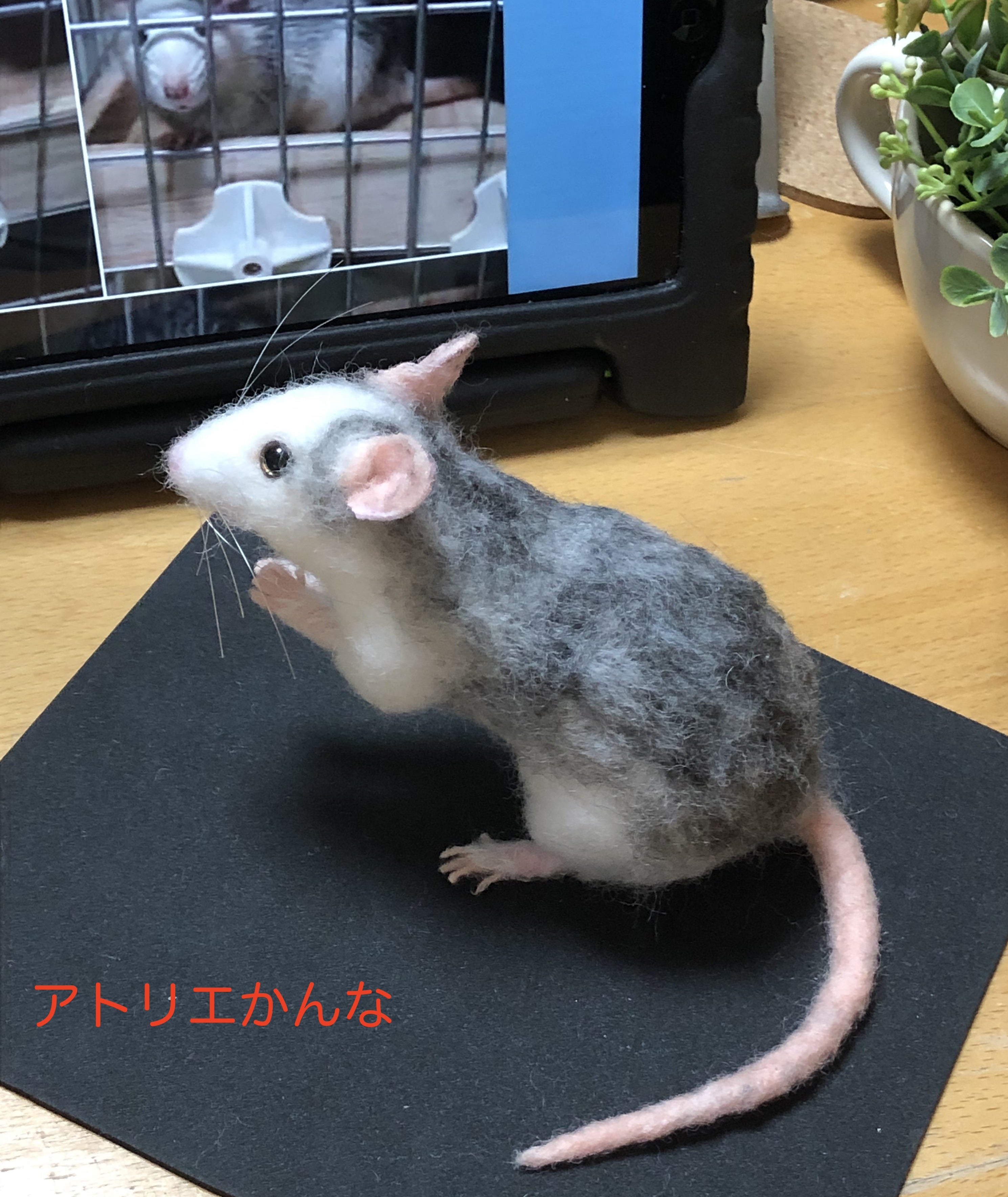 オーダー羊毛フェルト♥ファンシーラットのオハナちゃん♥ | 羊毛