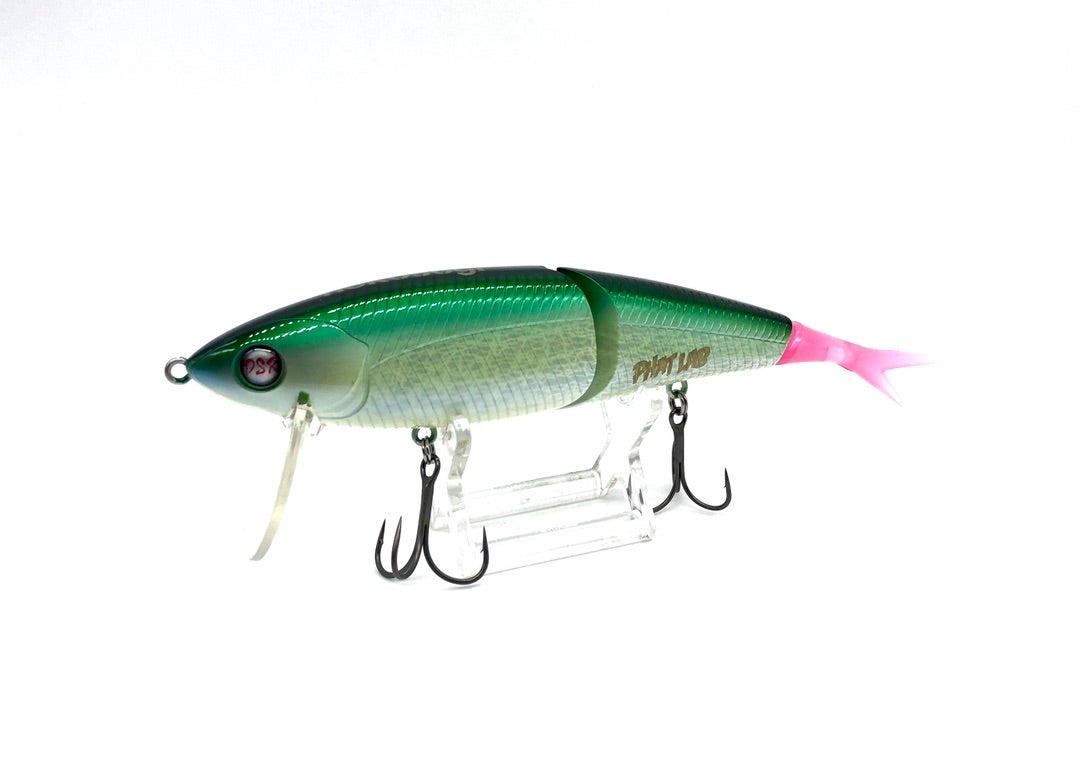 3年振りのネコソギDSR『FLカラー』✨ | Fish! tackle shopのブログ