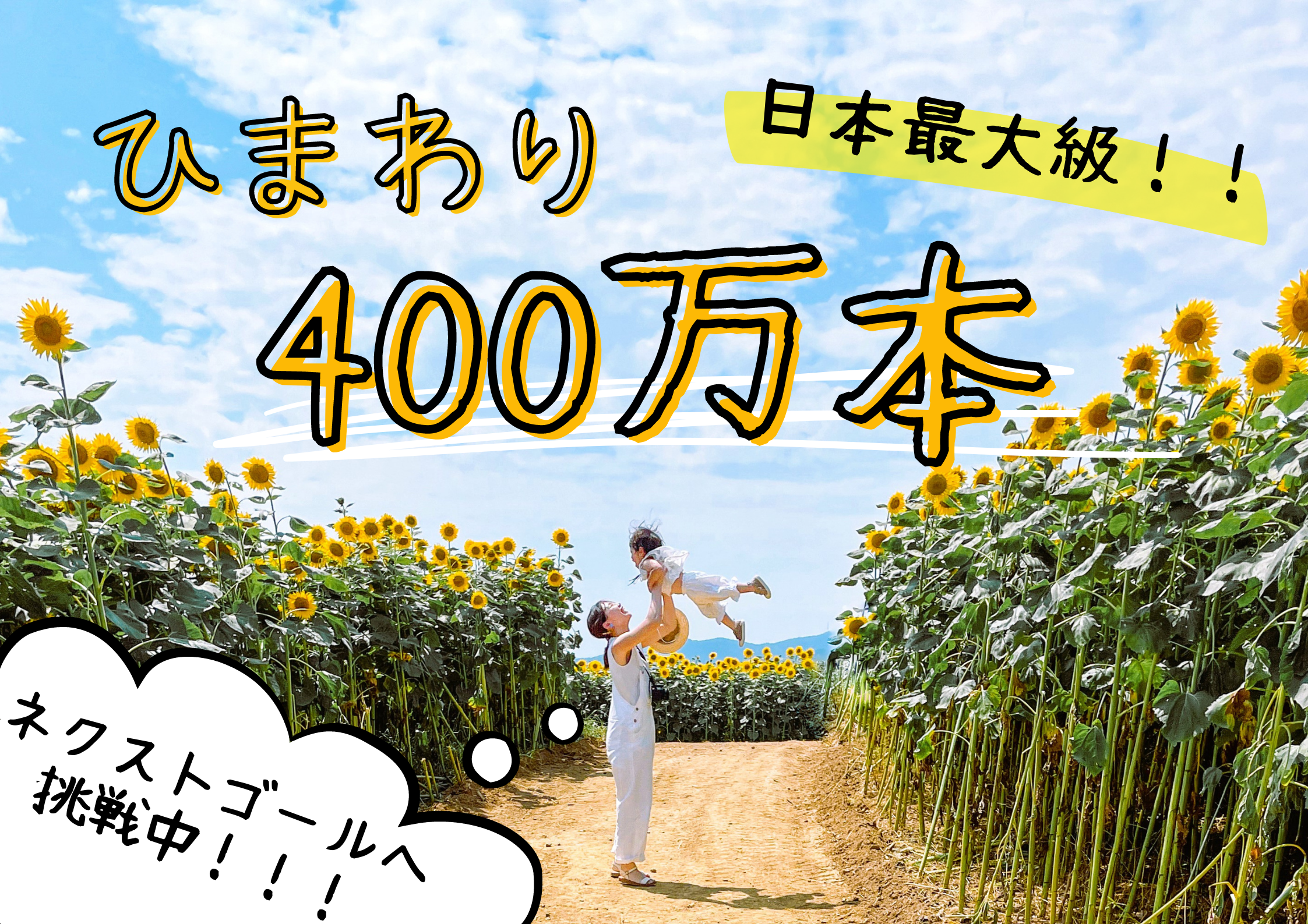 愛媛に日本最大級400万本のひまわり畑を創ろう。ひまわりの力で農村を