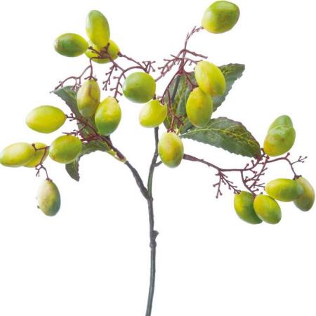 030-23203_m.jpg