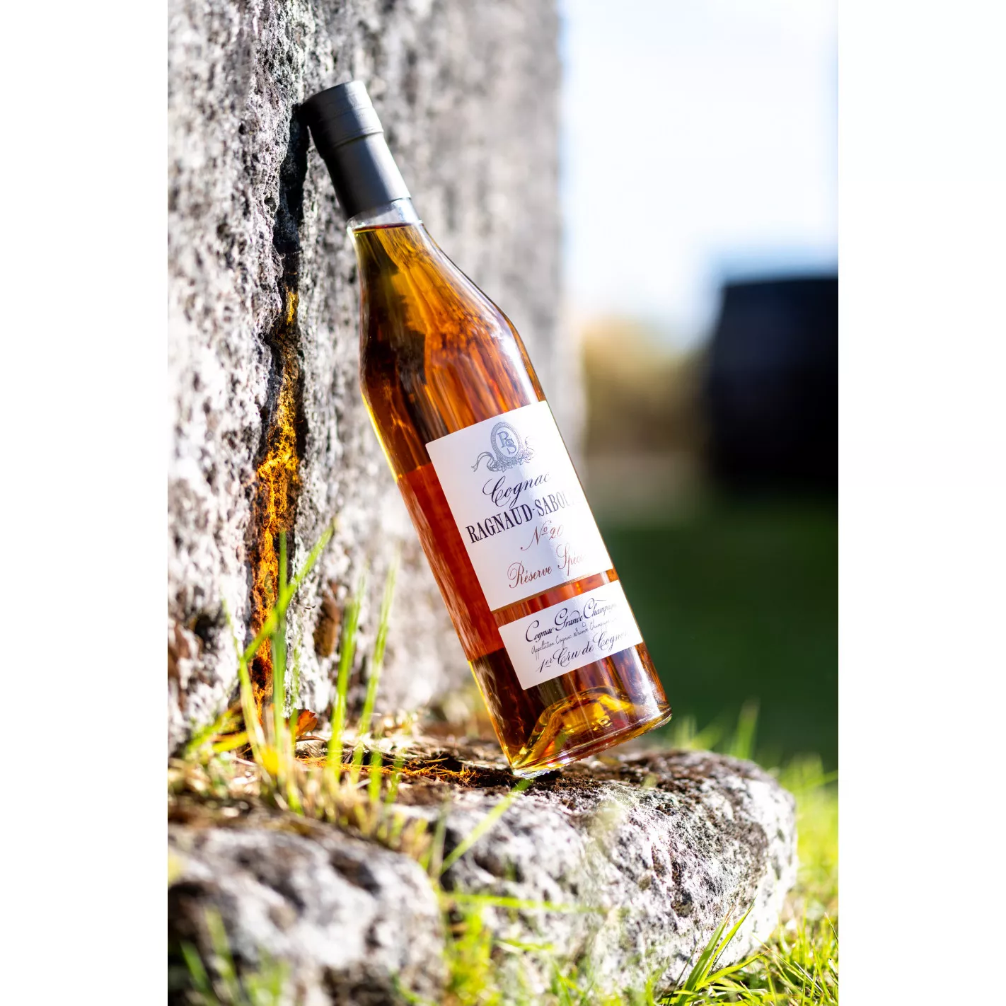 Ragnaud Sabourin Reserve Spéciale Alliance 20 コニャック：Cognac