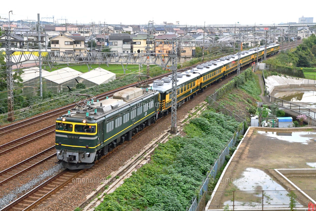 EF81牽引サロンカーなにわ（琵琶湖一周号）[25668003916]の写真