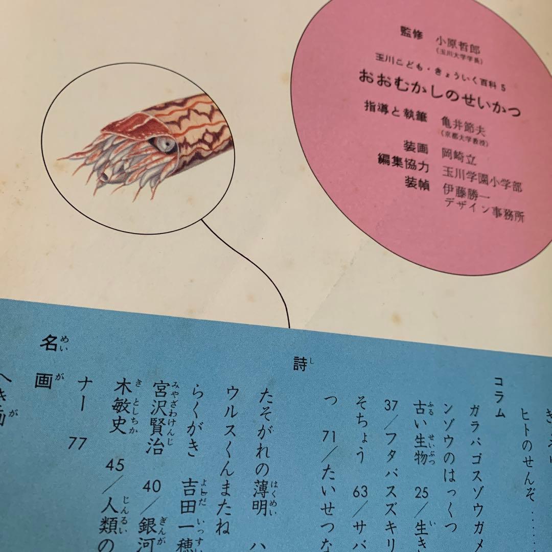 玉川こどもきょういく百科 30冊セット こども百科 図鑑 - メルカリ