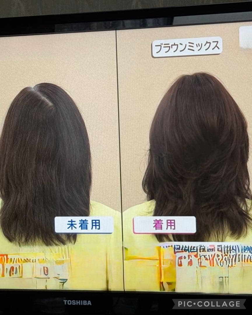お値下げしました＊アートネイチャーJOヘアピース