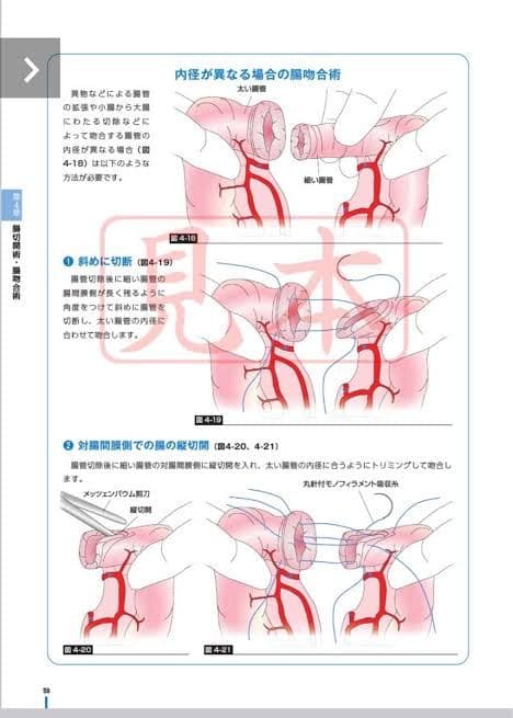 イラストで読む 犬と猫の臨床外科 CLINIC NOTE - メルカリ